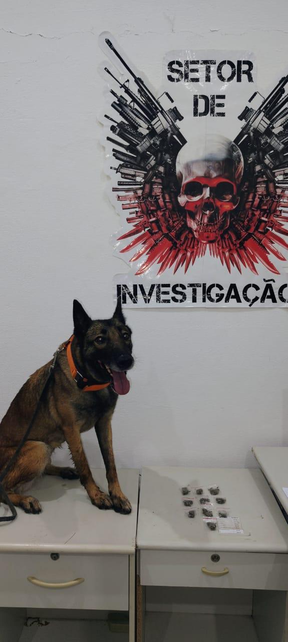 Homem é preso em flagrante por tráfico de drogas em Balneário Pinhal