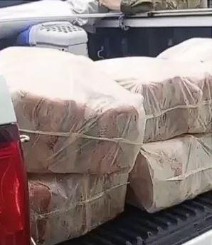 Patram apreende 100 quilos de peixe sem inspeção em Tramandaí