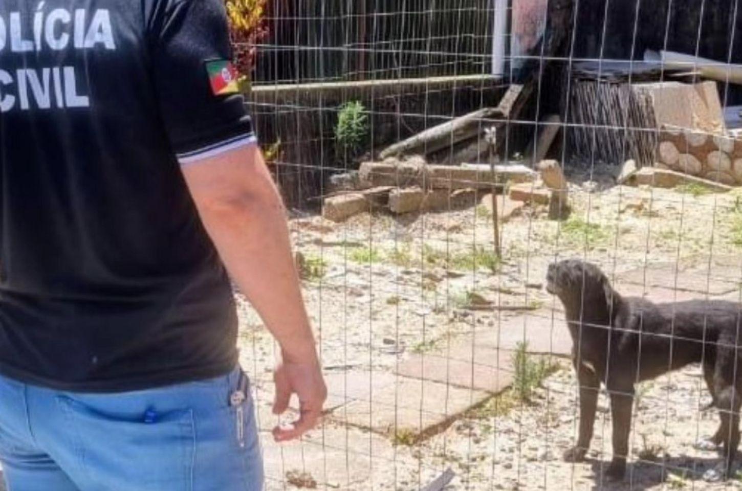 Polícia Civil fiscaliza denúncias de maus-tratos contra animais domésticos em Osório