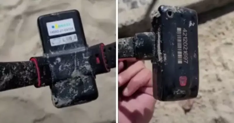 Tornozeleira eletrônica rompida é apreendida durante a Operação Golfinho em Cidreira