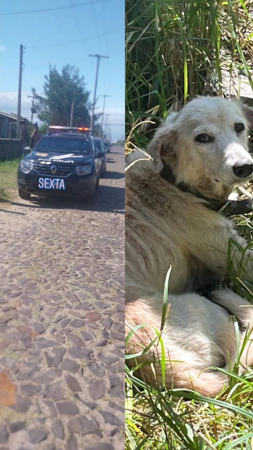 Casal é preso por maus-tratos a idosos e animais em Balneário Pinhal; vítimas foram encaminhadas para atendimento