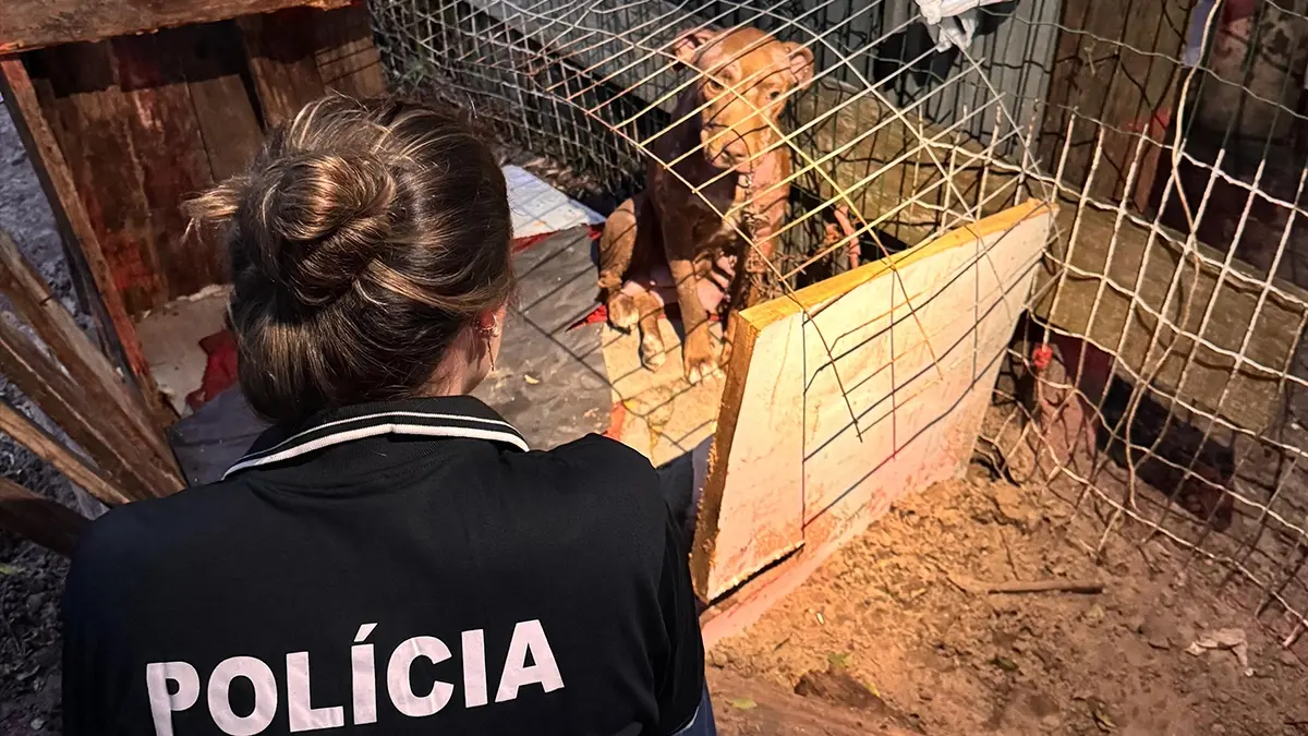 Polícia Civil resgata cadela em situação de maus-tratos e prende casal em Capão da Canoa