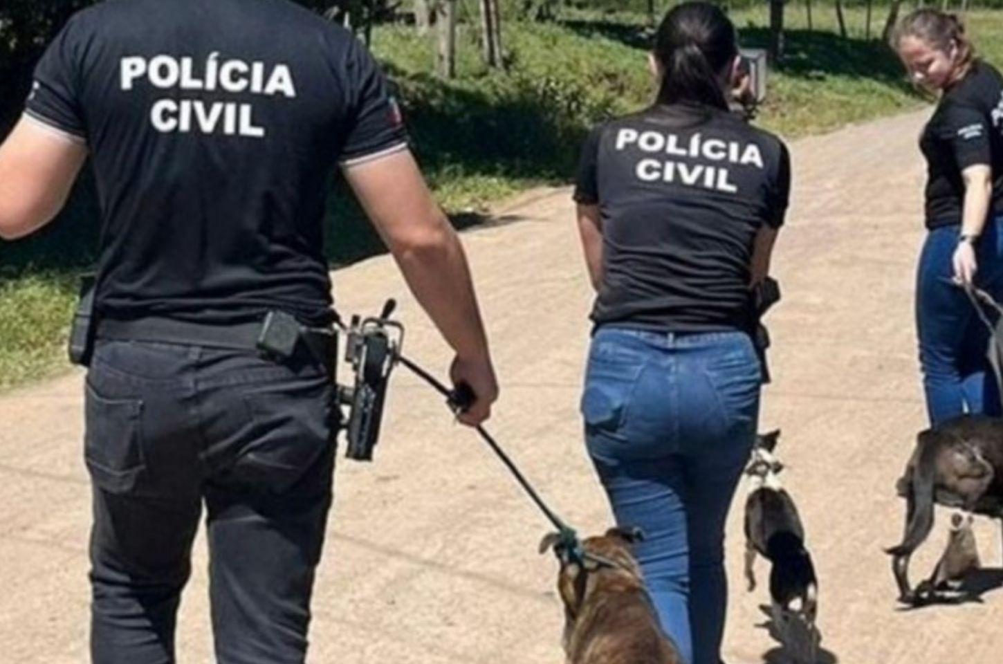 Rio Grande do Sul conta com 62 delegacias com selo Amiga dos Animais para investigar maus-tratos