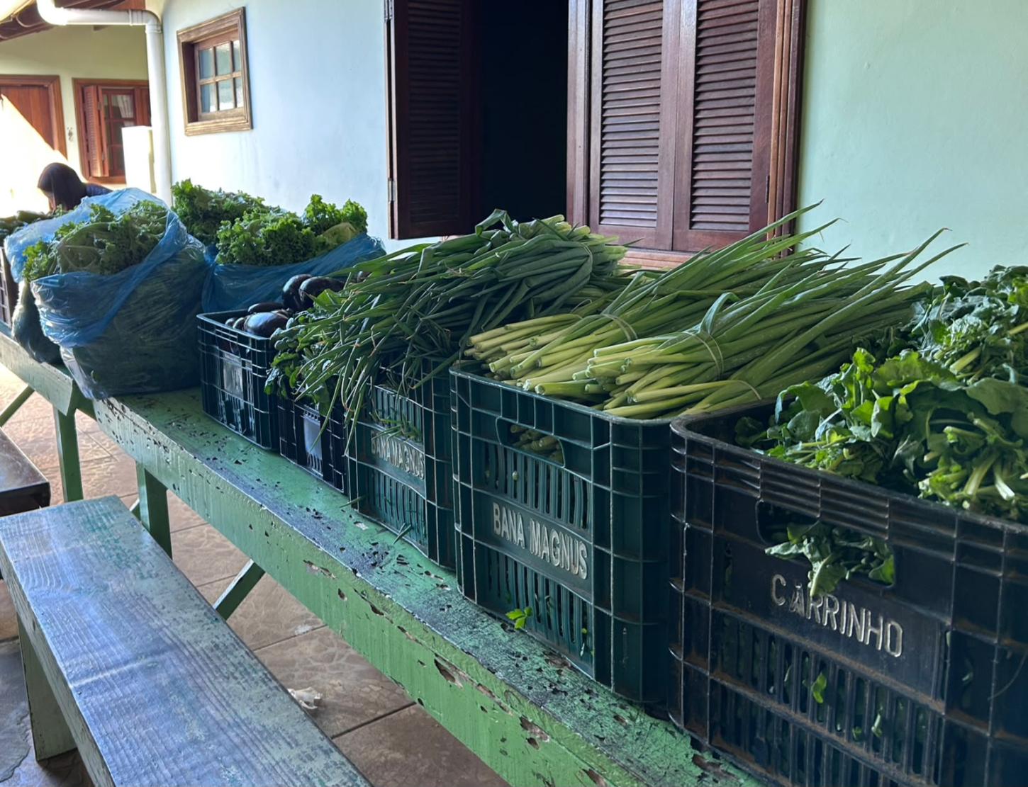Balneário Pinhal investe R$ 70 mil para fortalecer a agricultura familiar e garantir alimentação às famílias em vulnerabilidade