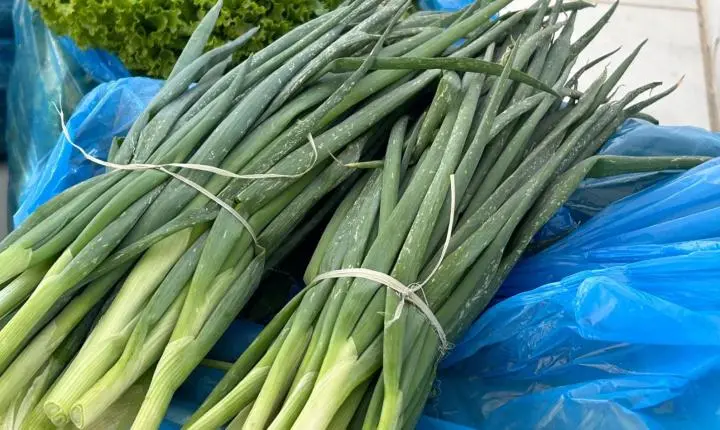 Balneário Pinhal investe R$ 70 mil para fortalecer a agricultura familiar e garantir alimentação às famílias em vulnerabilidade