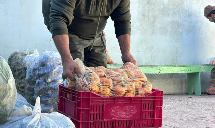 Balneário Pinhal investe R$ 70 mil para fortalecer a agricultura familiar e garantir alimentação às famílias em vulnerabilidade