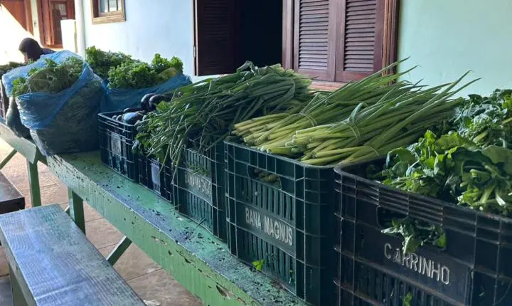 Balneário Pinhal investe R$ 70 mil para fortalecer a agricultura familiar e garantir alimentação às famílias em vulnerabilidade