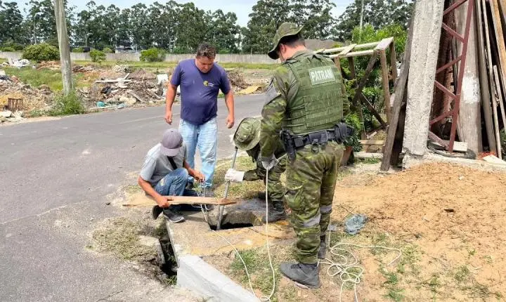 Jacaré é encontrado dentro de esgoto e mobiliza Patrulha Ambiental em Osório